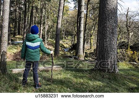 Stock Image - Boy exploring national park, Llanaber, Gwynedd, United Kingdom. Fotosearch