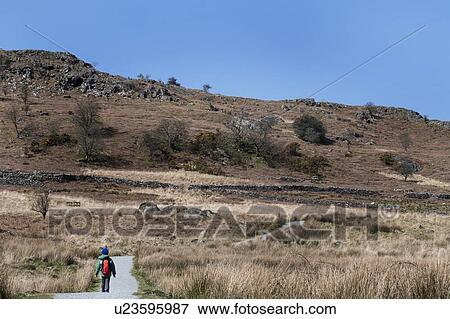 Stock Photo - Boy exploring national park, Llanaber, Gwynedd, United Kingdom. Fotosearch