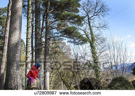 Stock Photo - Boy exploring national park, Llanaber, Gwynedd, United Kingdom. Fotosearch