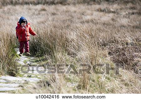 Stock Photograph - Boy exploring national park, Llanaber, Gwynedd, United Kingdom. Fotosearch