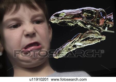 Boy looking at dinosaur View Large Photo Image Stock Image - Boy looking at dinosaur. Fotosearch