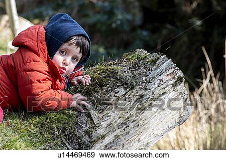 Stock Photo - Boy lying on fallen tree trunk in forest. Fotosearch