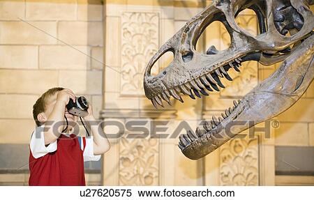 Stock Photography - Boy photographing dinosaur. Fotosearch