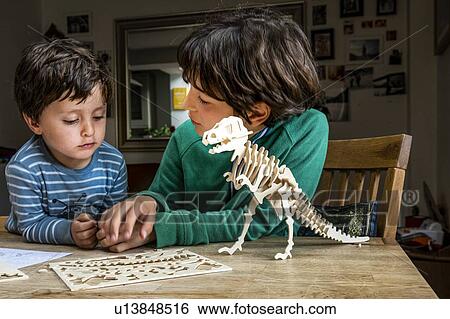 Boy showing brother way to build wooden dinosaur View Large Photo Image Stock Photograph - Boy showing brother way to build wooden dinosaur. Fotosearch