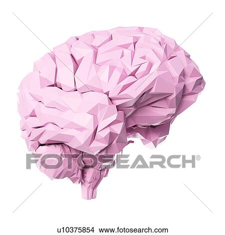 Brain, illustration View Large Photo Image Picture - Brain, illustration. Fotosearch