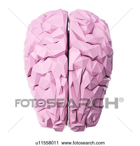 Stock Image - Brain, illustration. Fotosearch