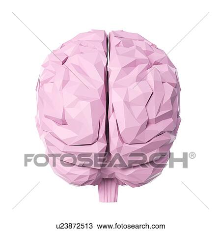 Brain, illustration View Large Photo Image Stock Image - Brain, illustration. Fotosearch