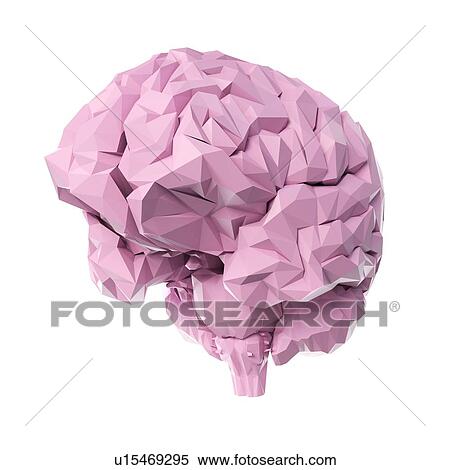 Brain, illustration View Large Photo Image Stock Photography - Brain, illustration. Fotosearch