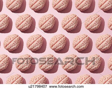 Stock Photo - Brains. Fotosearch
