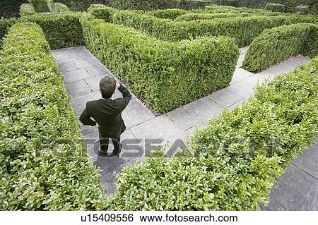 Businessman lost in a maze View Large Photo Image Stock Photograph - Businessman lost in a maze. Fotosearch