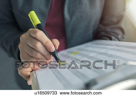 Businesswoman highlighting business report View Large Photo Image Stock Image - Businesswoman highlighting business report. Fotosearch