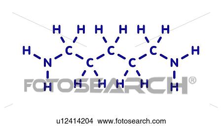 Cadaverine foul smelling molecule, illustration View Large Photo Image Picture - Cadaverine foul smelling molecule, illustration. Fotosearch