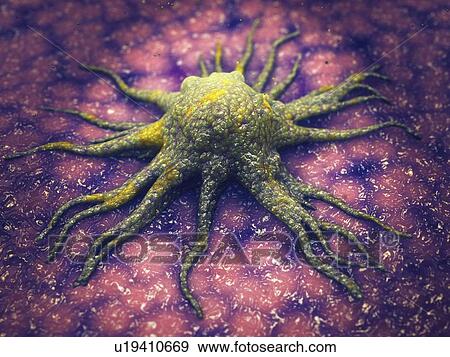 Cancer cell, illustration View Large Photo Image Stock Photo - Cancer cell, illustration. Fotosearch
