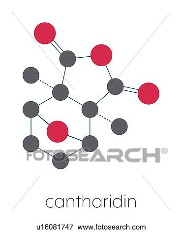 Cantharidin blister beetle poison molecule, illustration View Large Photo Image Stock Photo - Cantharidin blister beetle poison molecule, illustration. Fotosearch