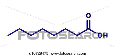 Stock Photography - Caprylic acid molecule, illustration. Fotosearch