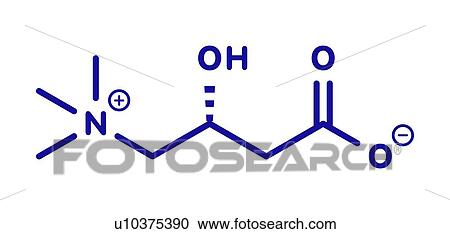 Carnitine food supplement molecule, illustration View Large Photo Image Stock Image - Carnitine food supplement molecule, illustration. Fotosearch