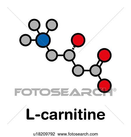 Carnitine food supplement molecule, illustration View Large Photo Image Stock Image - Carnitine food supplement molecule, illustration. Fotosearch