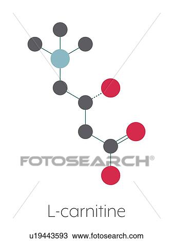 Carnitine food supplement molecule, illustration View Large Photo Image Stock Image - Carnitine food supplement molecule, illustration. Fotosearch