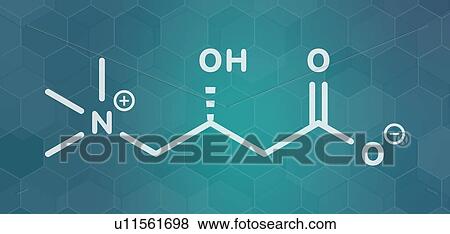 Carnitine food supplement molecule, illustration View Large Photo Image Stock Photo - Carnitine food supplement molecule, illustration. Fotosearch