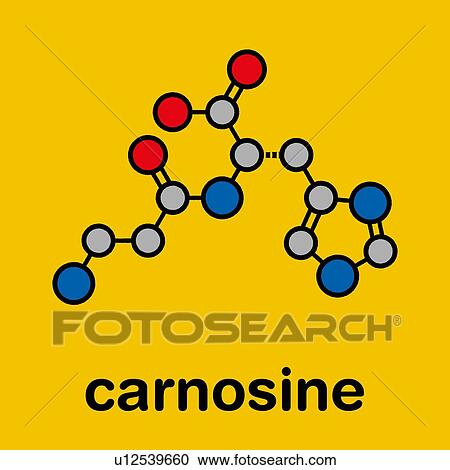 Carnosine food supplement molecule, illustration View Large Photo Image Stock Image - Carnosine food supplement molecule, illustration. Fotosearch