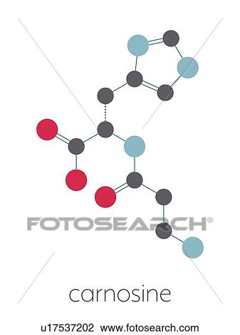 Carnosine food supplement molecule, illustration View Large Photo Image Stock Image - Carnosine food supplement molecule, illustration. Fotosearch