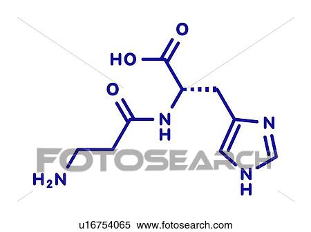 Stock Photography - Carnosine food supplement molecule, illustration. Fotosearch
