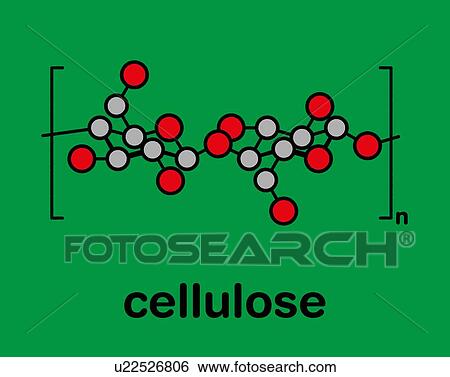 Stock Photograph - Cellulose chemical structure, illustration. Fotosearch