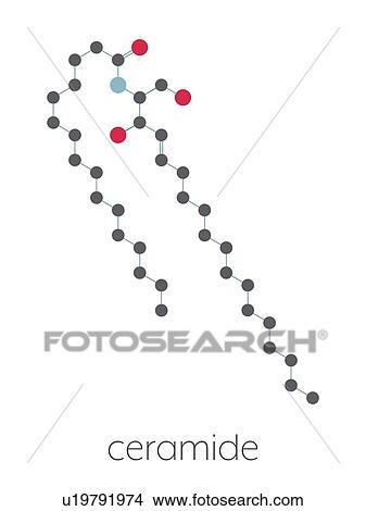 Picture - Ceramide cell membrane lipid molecule, illustration. Fotosearch