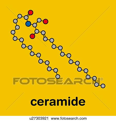 Stock Image - Ceramide cell membrane lipid molecule, illustration. Fotosearch