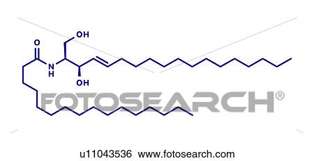 Ceramide cell membrane lipid molecule, illustration View Large Photo Image Stock Photograph - Ceramide cell membrane lipid molecule, illustration. Fotosearch