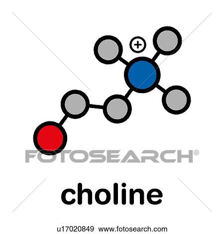 Stock Photo - Choline essential nutrient molecule, illustration. Fotosearch