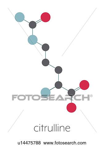 Stock Photo - Citrulline amino acid molecule, illustration. Fotosearch