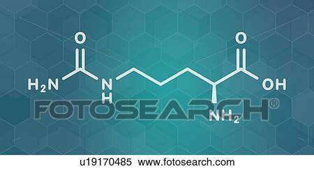 Stock Photography - Citrulline amino acid molecule, illustration. Fotosearch