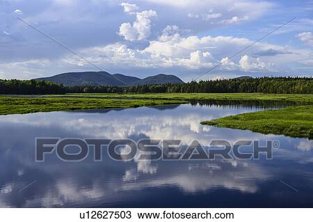 Stock Image - Clouds reflected in Bass Harbor Marsh, Mount Desert Island, USA. Fotosearch