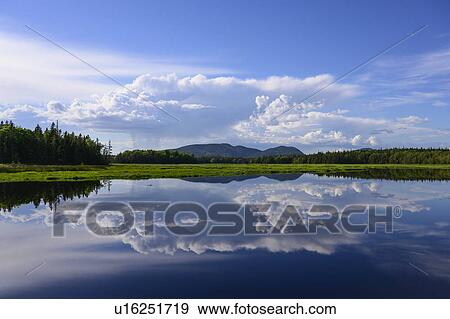 Stock Photo - Clouds reflected in Bass Harbor Marsh, Mount Desert Island, USA. Fotosearch