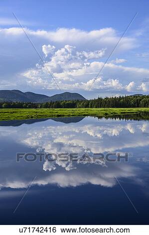 Clouds reflected in Bass Harbor Marsh, Mount Desert Island, USA View Large Photo Image Stock Photograph - Clouds reflected in Bass Harbor Marsh, Mount Desert Island, USA. Fotosearch