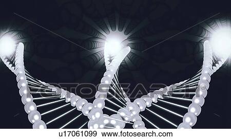 Stock Photo - Convergence evolution, conceptual illustration. Fotosearch