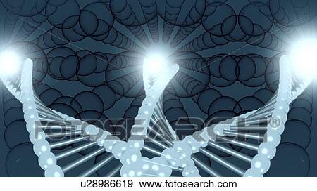 Convergence evolution, conceptual illustration View Large Photo Image Stock Photo - Convergence evolution, conceptual illustration. Fotosearch