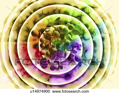 Stock Image - Convergent evolution, conceptual illustration. Fotosearch