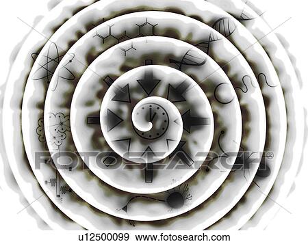 Stock Photo - Convergent evolution, conceptual illustration. Fotosearch