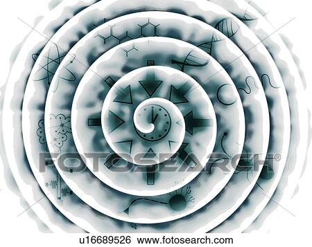 Stock Photograph - Convergent evolution, conceptual illustration. Fotosearch