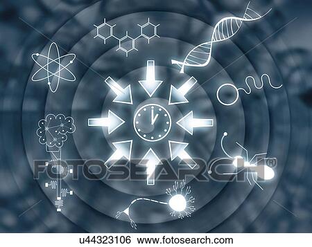 Convergent evolution, conceptual illustration View Large Photo Image Stock Photograph - Convergent evolution, conceptual illustration. Fotosearch