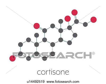 Cortisone stress hormone molecule, illustration View Large Photo Image Stock Photo - Cortisone stress hormone molecule, illustration. Fotosearch
