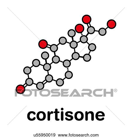 Cortisone stress hormone molecule, illustration View Large Photo Image Stock Photo - Cortisone stress hormone molecule, illustration. Fotosearch