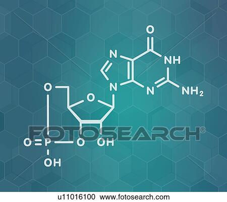 Stock Image - Cyclic guanosine monophosphate molecule, illustration. Fotosearch