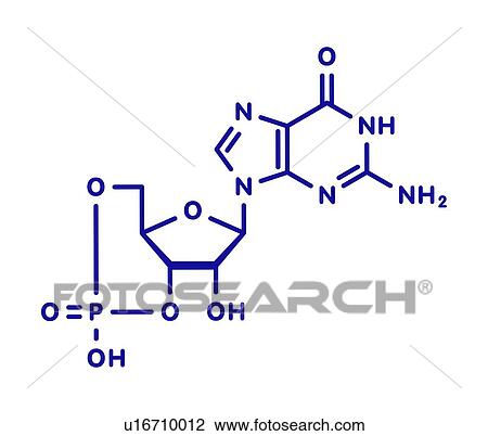 Stock Image - Cyclic guanosine monophosphate molecule, illustration. Fotosearch