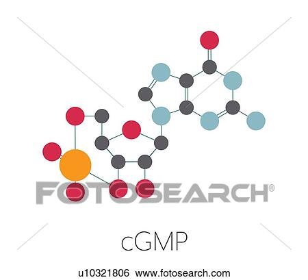 Cyclic guanosine monophosphate molecule, illustration View Large Photo Image Stock Photograph - Cyclic guanosine monophosphate molecule, illustration. Fotosearch