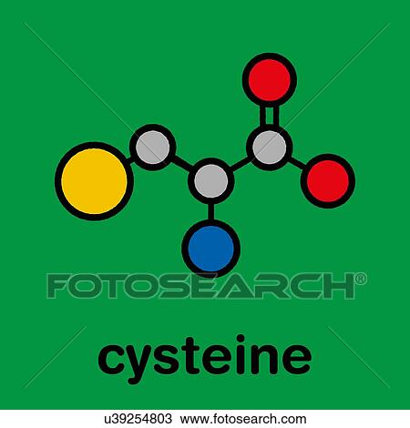 Stock Image - Cysteine amino acid molecule, illustration. Fotosearch