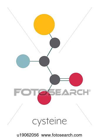 Stock Photograph - Cysteine amino acid molecule, illustration. Fotosearch