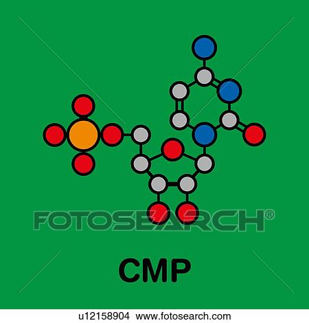Picture - Cytidine monophosphate RNA molecule, illustration. Fotosearch